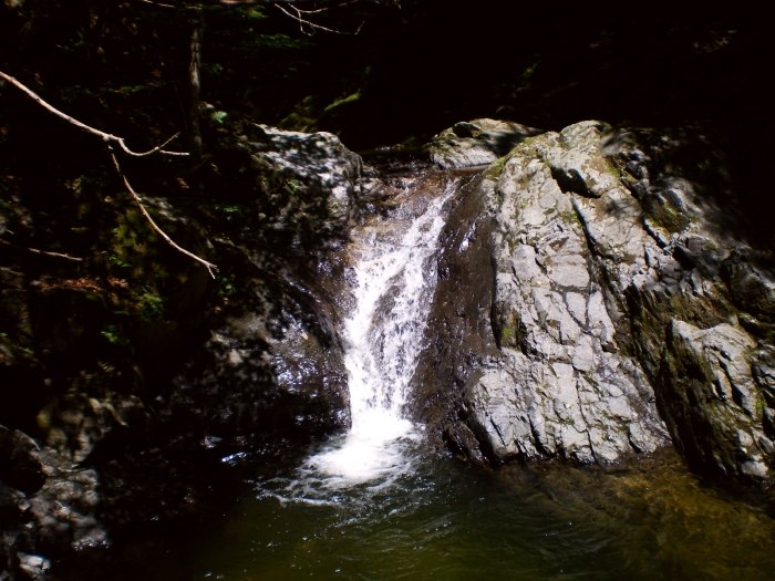 /fruntii/z_06_-_cascada_1.jpg