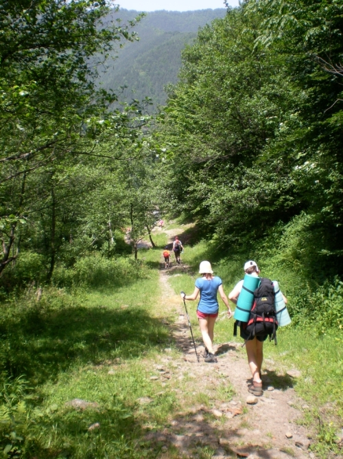 Carpati.org