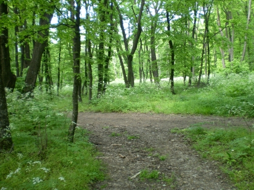Carpati.org