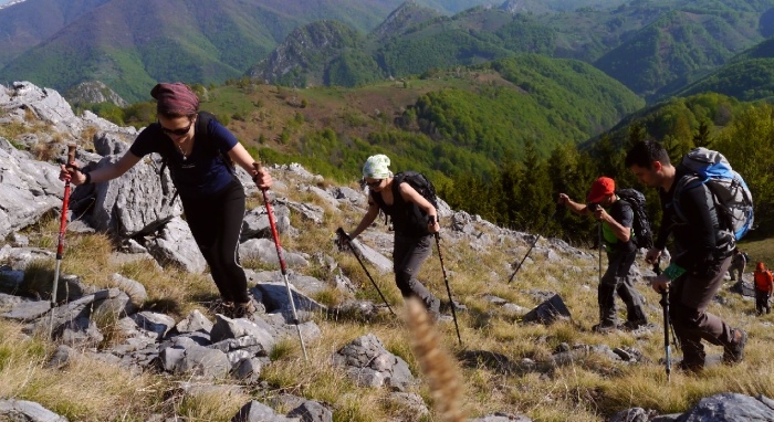 /mehedinti/ziua_3_-_02_urcus_pana_in_stanci.jpg