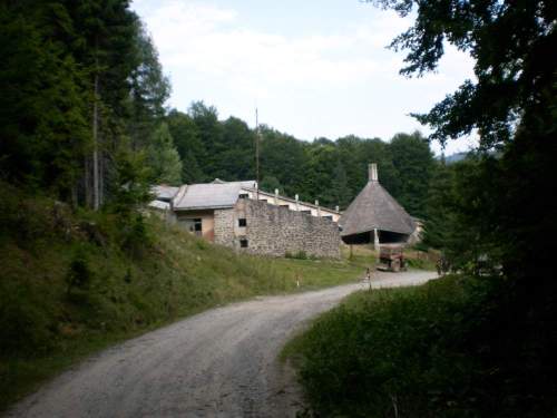 Carpati.org