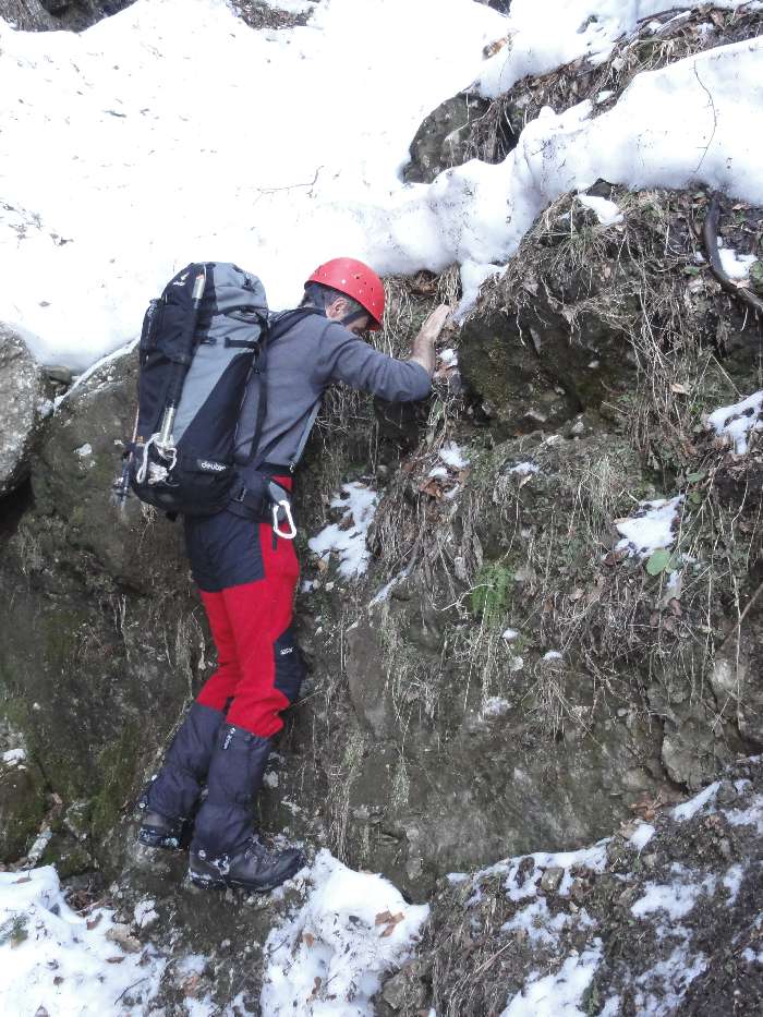“/ComorileBranei/Valea