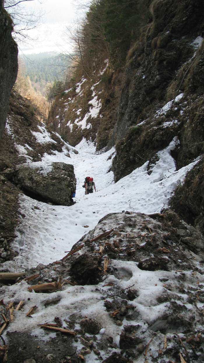 “/ComorileBranei/Valea