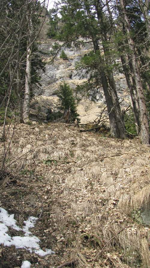 “/ComorileBranei/Valea