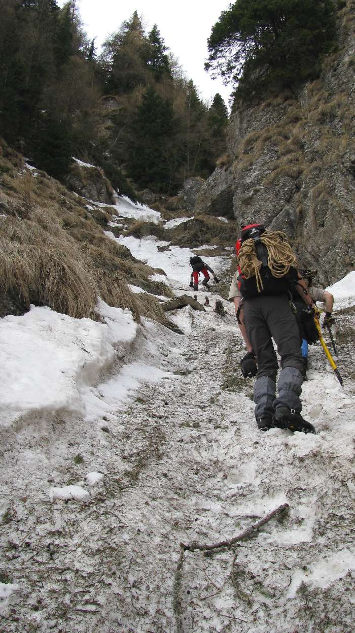 “/ComorileBranei/Valea