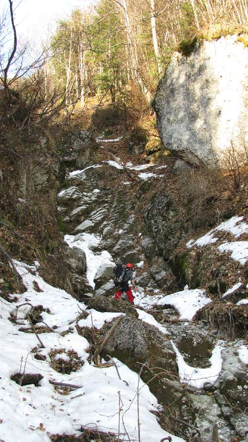 “/ComorileBranei/Valea