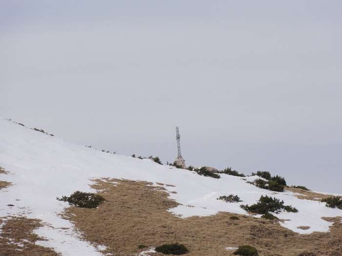 “/ComorileBranei/Valea