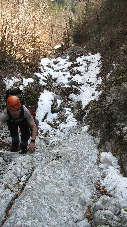 “/ComorileBranei/Valea