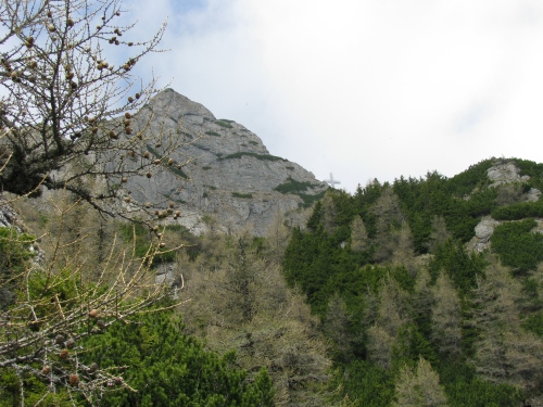 Carpati.org