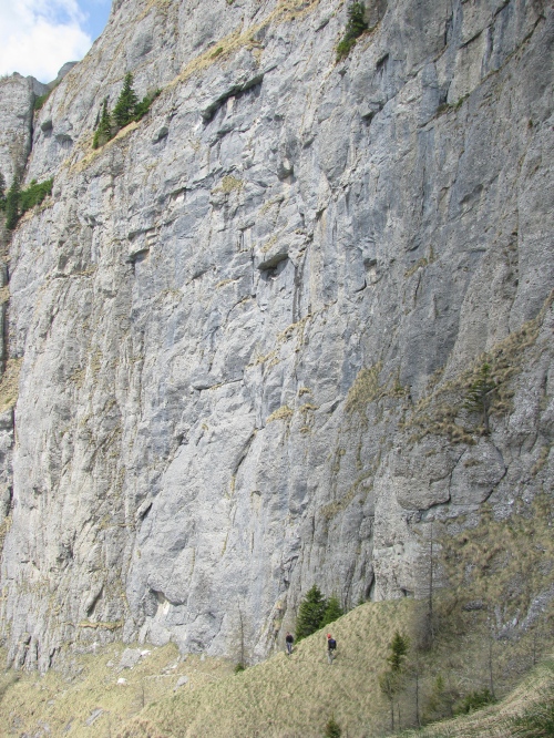 Carpati.org