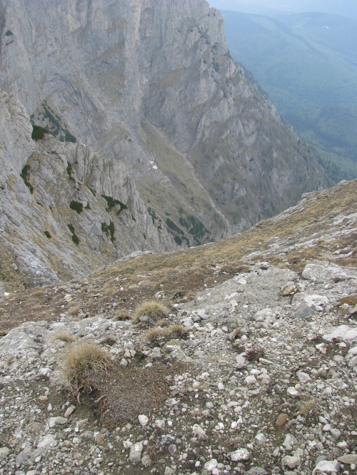 Carpati.org