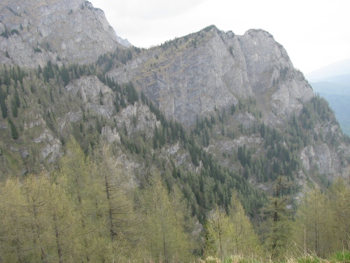 Carpati.org