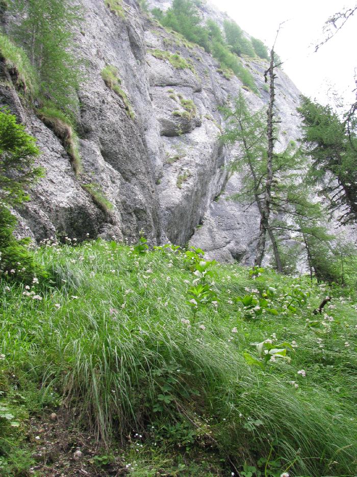 /ValeaPoienii/img_1667.jpg