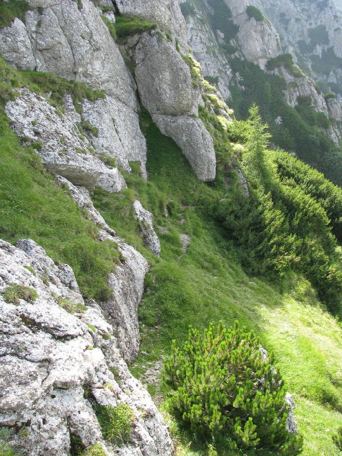 ValeaPoienii