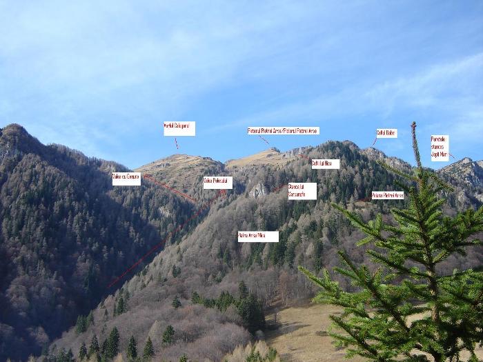 /Bucegi/creasta_muntelui_piatra_arsa.jpg