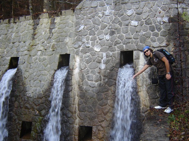 /Bucegi/octav_in_cheile_pelesului.jpg