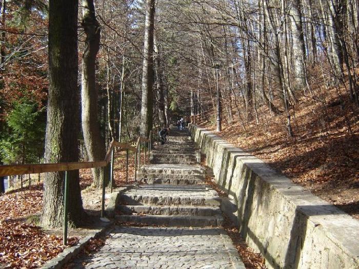 /Bucegi/poteca_manastirea_sinaia1.jpg
