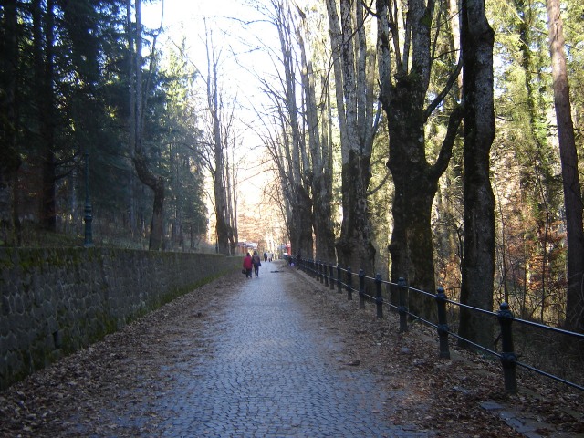 /Bucegi/spre_castelul_peles1.jpg