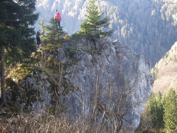 /Bucegi/stanca_cu_clopotei_vedere_laterala.jpg