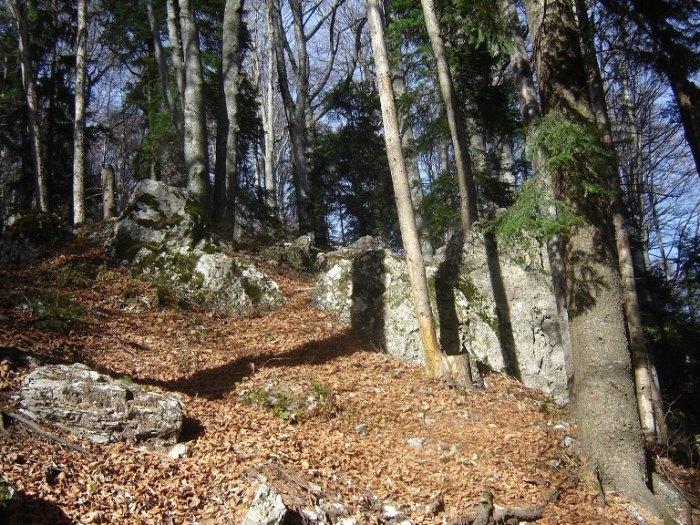 /Bucegi/traseu_poiana_stanii111.jpg