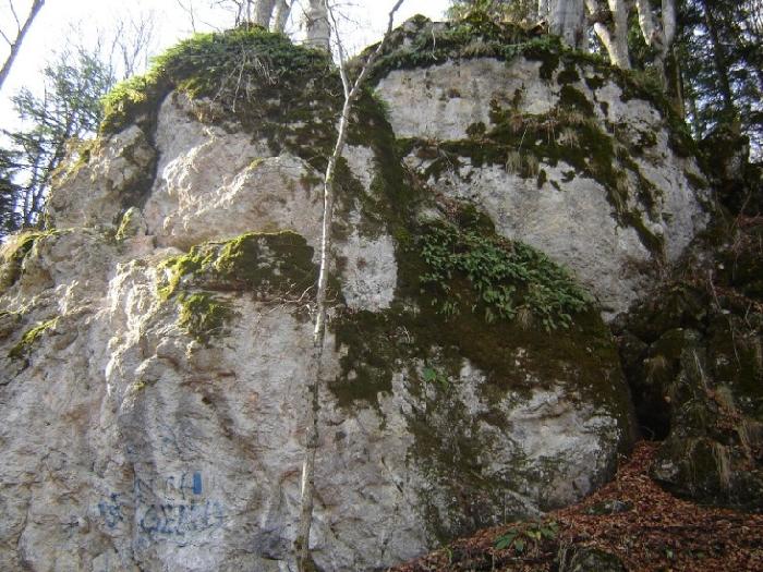 /Bucegi/traseu_poiana_stanii141.jpg