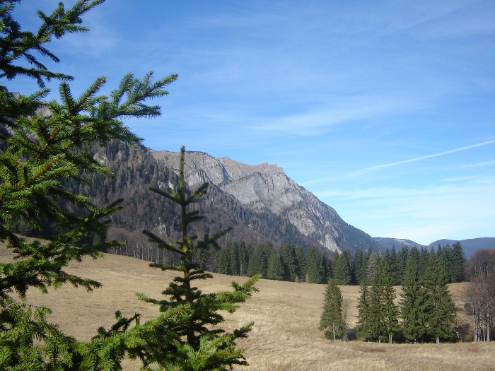 /Bucegi/vedere_catre_poiana_stanii.jpg