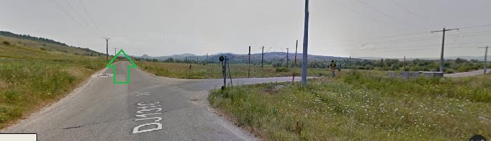 /Persani/racos_capat2.jpg