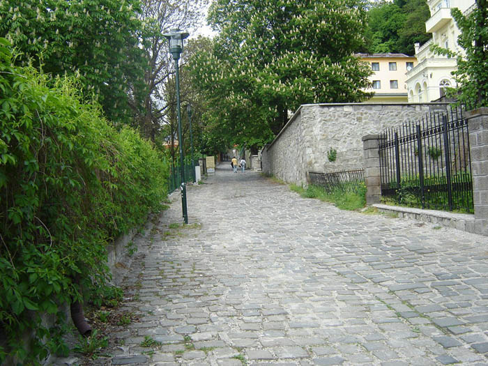 /Visegrad/strada.jpg