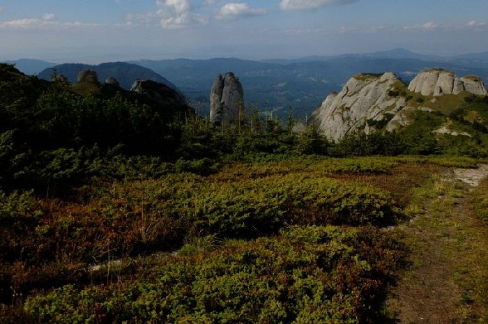 /Babarunca_Ciucas/dscf6103.jpg