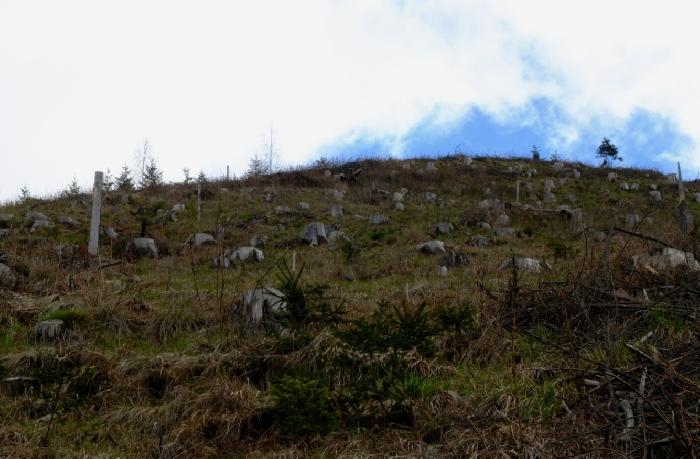 /Bucovina_Maramu/04a.jpg