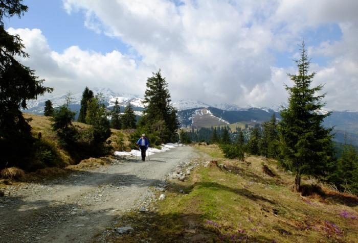 /Bucovina_Maramu/20a.jpg