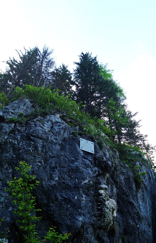 /Ceahlau_2014/dscf4182.jpg