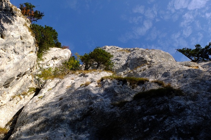 /Piatra_Mare_2014/12.jpg