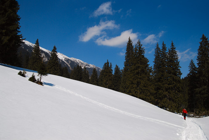 /11_03_crai_nordic/dsc_6658.jpg