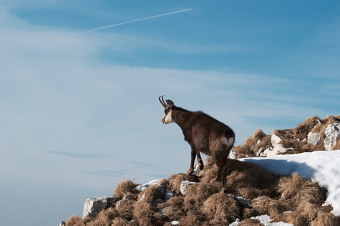 /11_03_crai_nordic/dsc_6905.jpg