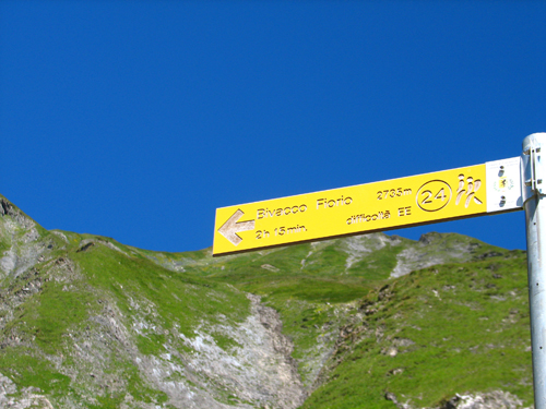 Carpati.org