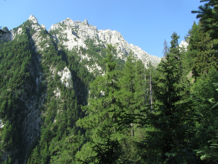 /AStrungii2012/1.jpg