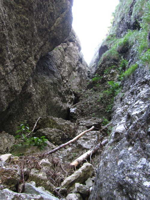 /AStrungii2012/16.jpg