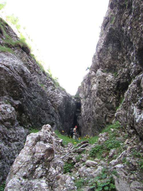 /AStrungii2012/42.jpg