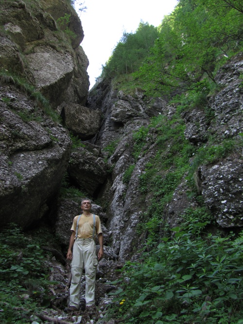 /AStrungii2012/8.jpg