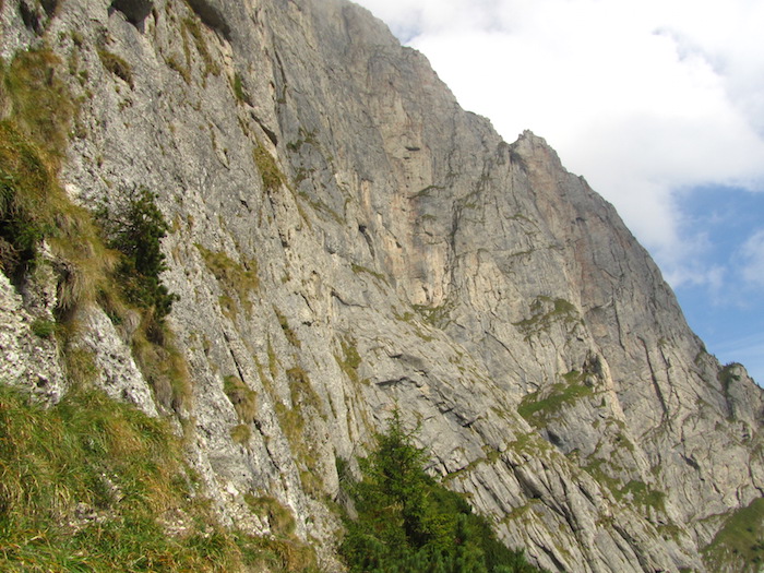 /Br/img_4649.jpg