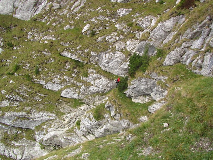 /Br/img_4721.jpg