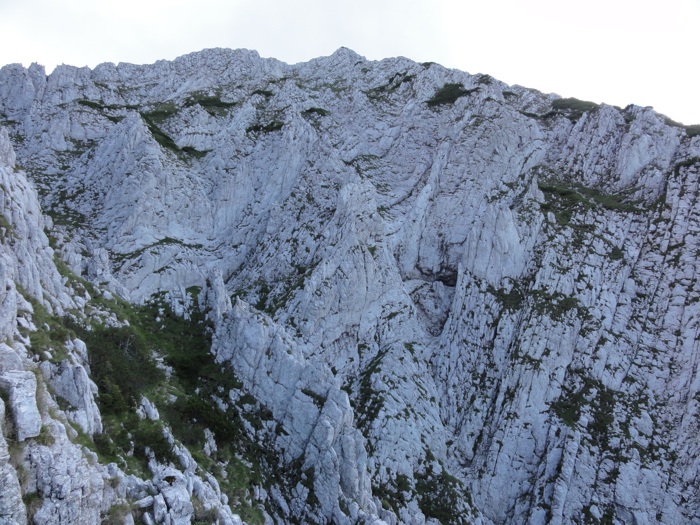 /artPoduriVladusca/creste_in_bazinul_vladusca.jpg