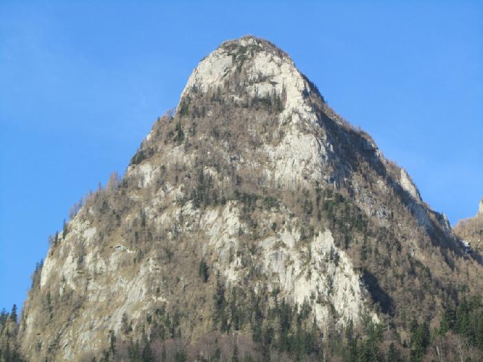 /muchiaesticaClaii/1.jpg