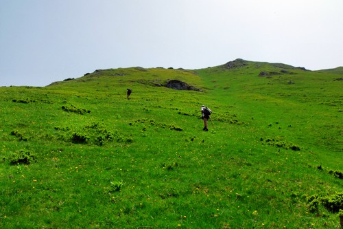 Carpati.org