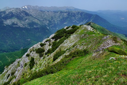 Carpati.org