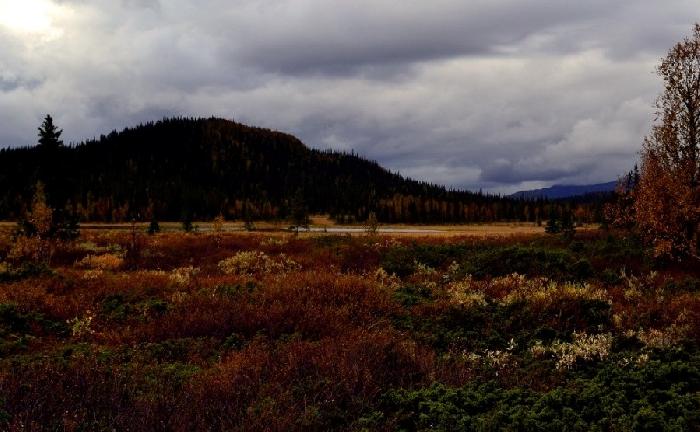 /kvikk/dsc_1554.jpg