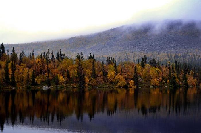 /toamna/dsc_1577.jpg