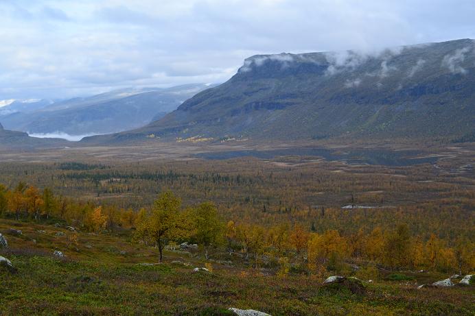 /toamna/dsc_1641.jpg
