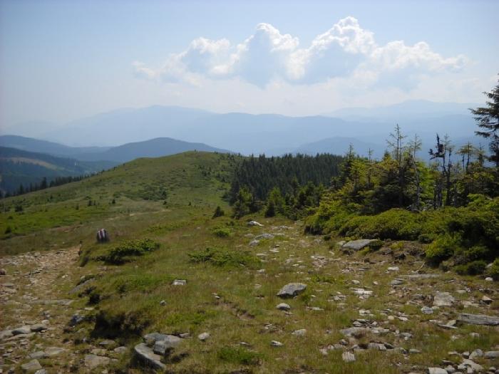 /BATRANUL/8.urcarea_spre_rozdesti.jpg